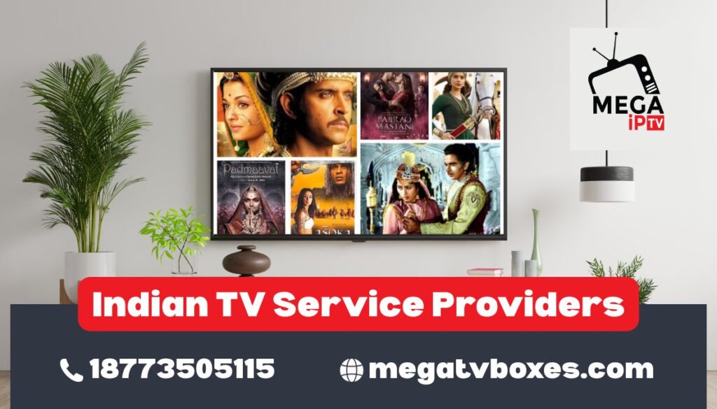 Indian TV service providers