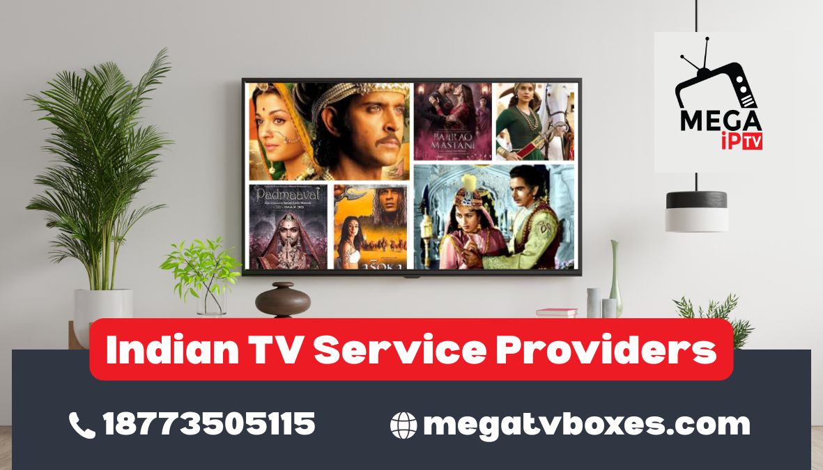 Indian TV service providers