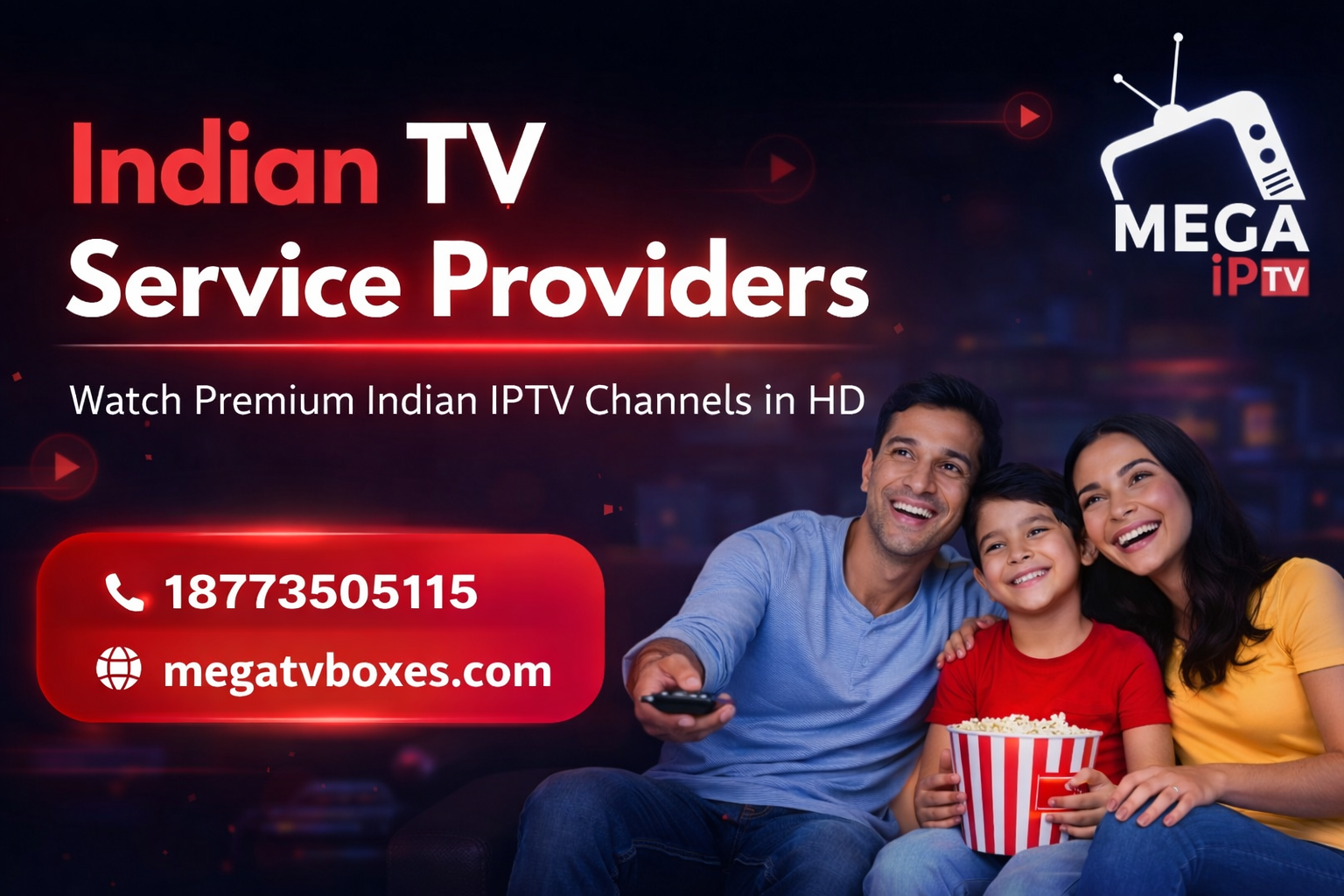 Indian TV service providers