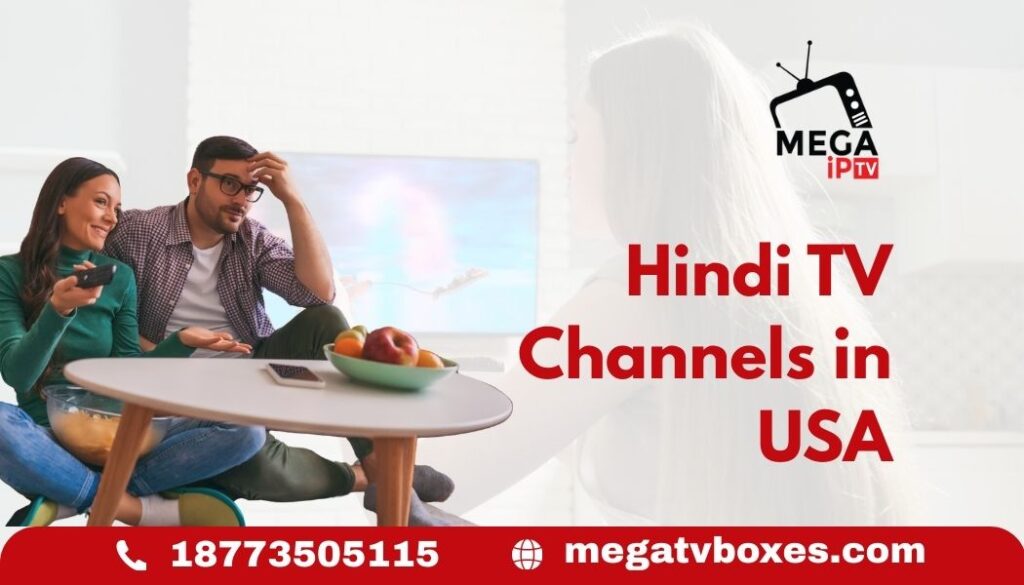 Hindi TV Channels in USA
