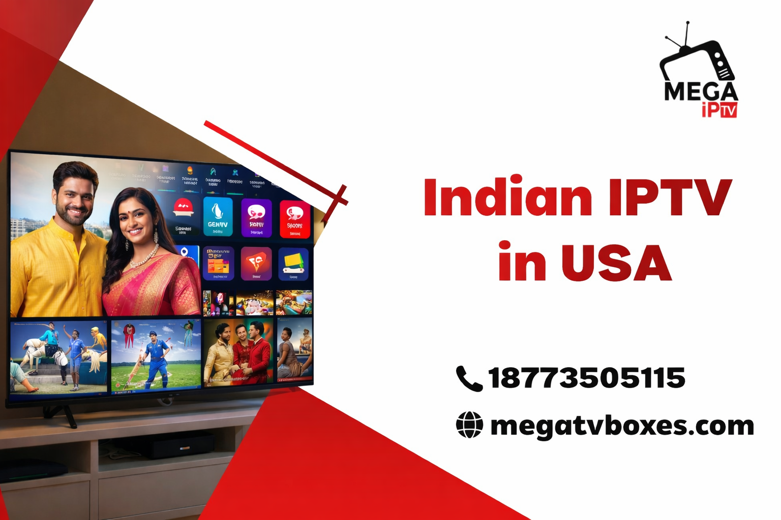Indian IPTV in USA