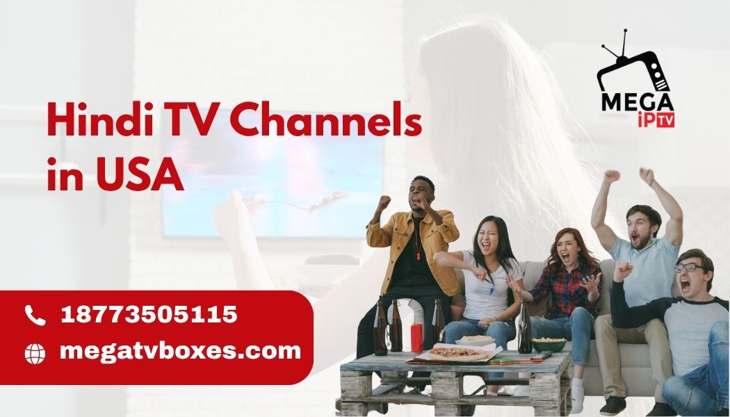 Hindi TV Channels in USA