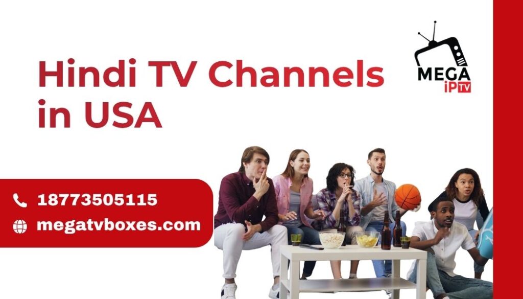 Hindi TV channels in usa