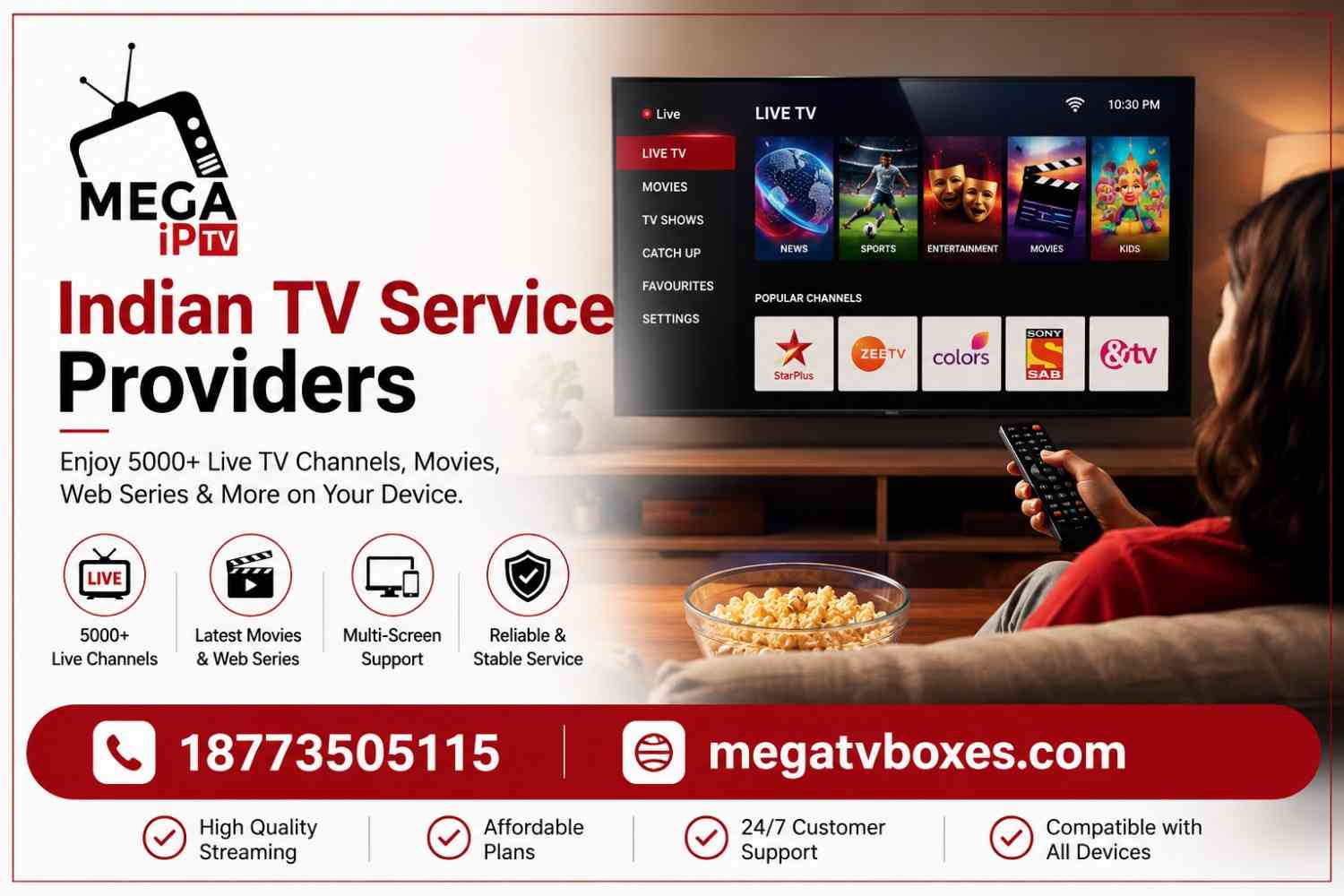 Indian TV service providers