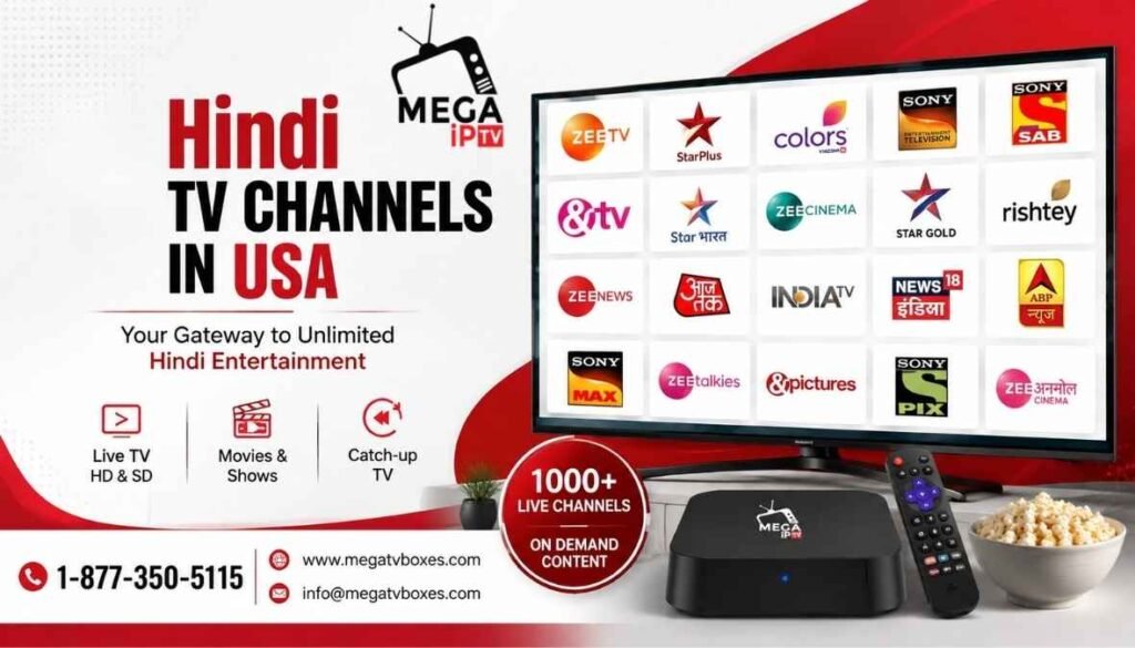 Hindi TV channels in USA